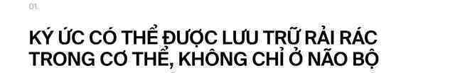 Nếu ký ức tồn tại trong trái tim: Liệu một phần người hiến tim vẫn còn sống, bên trong cơ thể người nhận tạng ghép?- Ảnh 3. Nếu ký ức tồn tại trong trái tim: Liệu một phần người hiến tim vẫn còn sống, bên trong cơ thể người nhận tạng ghép?- Ảnh 3.