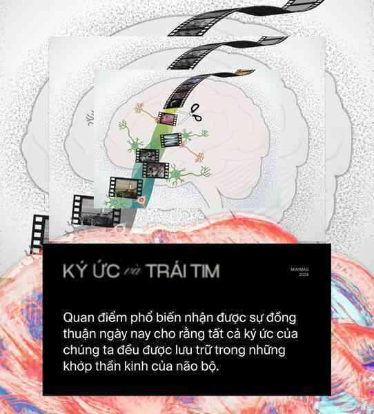 Nếu ký ức tồn tại trong trái tim: Liệu một phần người hiến tim vẫn còn sống, bên trong cơ thể người nhận tạng ghép?- Ảnh 4. Nếu ký ức tồn tại trong trái tim: Liệu một phần người hiến tim vẫn còn sống, bên trong cơ thể người nhận tạng ghép?- Ảnh 4.