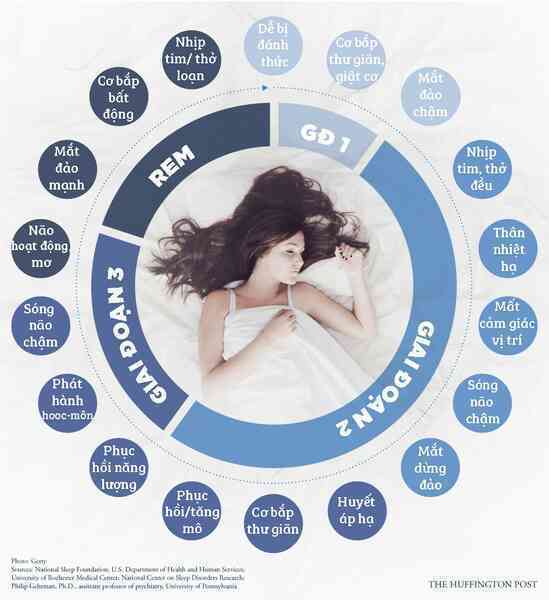 Tưởng tượng giấc ngủ như chơi tàu lượn sẽ giúp bạn ngủ ngon hơn- Ảnh 2. Tưởng tượng giấc ngủ như chơi tàu lượn sẽ giúp bạn ngủ ngon hơn- Ảnh 2.
