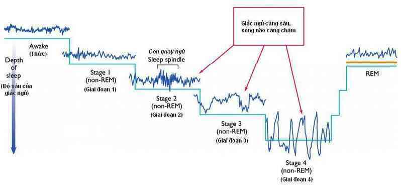 Tưởng tượng giấc ngủ như chơi tàu lượn sẽ giúp bạn ngủ ngon hơn- Ảnh 4. Tưởng tượng giấc ngủ như chơi tàu lượn sẽ giúp bạn ngủ ngon hơn- Ảnh 4.