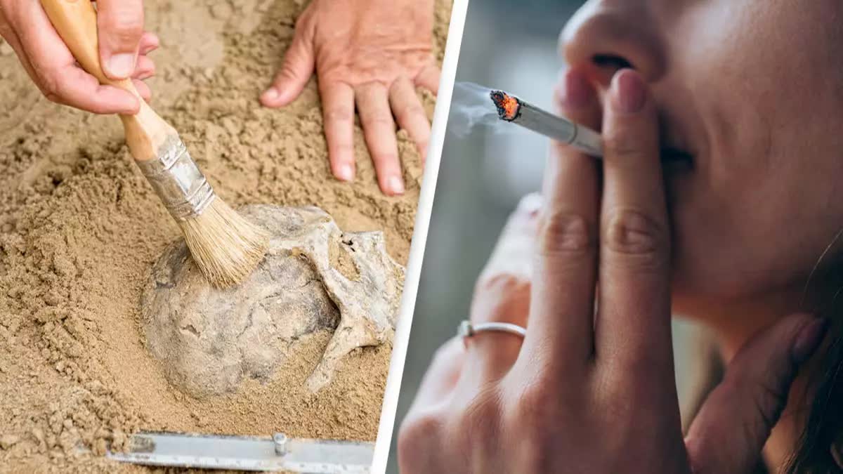 Thuốc lá đã thay đổi cấu trúc của xương người như thế nào?- Ảnh 4. Thuốc lá đã thay đổi cấu trúc của xương người như thế nào?- Ảnh 4.