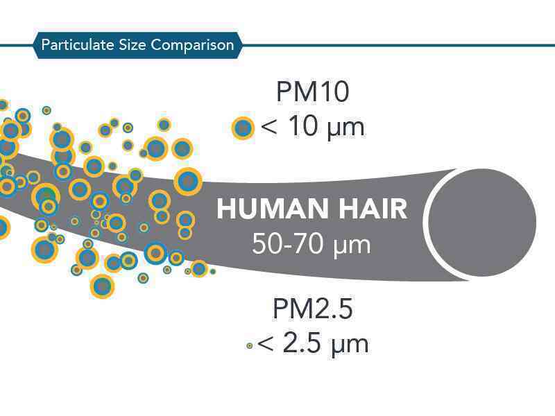 Hà Nội đang ô nhiễm không khí nghiêm trọng: Bụi mịn PM2.5 cao gấp 16 lần, đạt đỉnh vào 12 giờ trưa nay- Ảnh 4. Hà Nội đang ô nhiễm không khí nghiêm trọng: Bụi mịn PM2.5 cao gấp 16 lần, đạt đỉnh vào 12 giờ trưa nay- Ảnh 4.