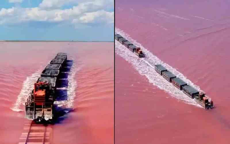 Hồ hồng huyền bí: Chuyến hành trình bất ngờ của The Salt Shaker- Ảnh 4. Hồ hồng huyền bí: Chuyến hành trình bất ngờ của The Salt Shaker- Ảnh 4.