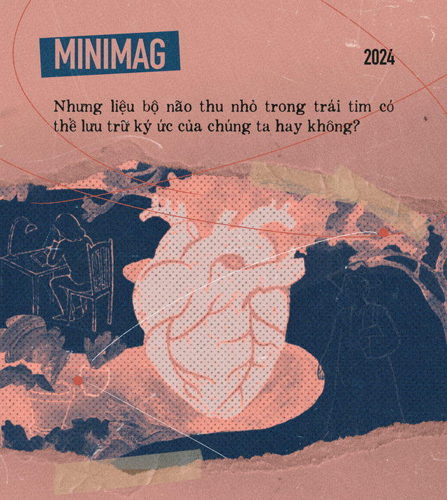 Khoa học hay tâm linh: Lời giải thích nào cho những ký ức song song của người hiến tặng và người nhận tạng ghép?- Ảnh 13. Khoa học hay tâm linh: Lời giải thích nào cho những ký ức song song của người hiến tặng và người nhận tạng ghép?- Ảnh 13.