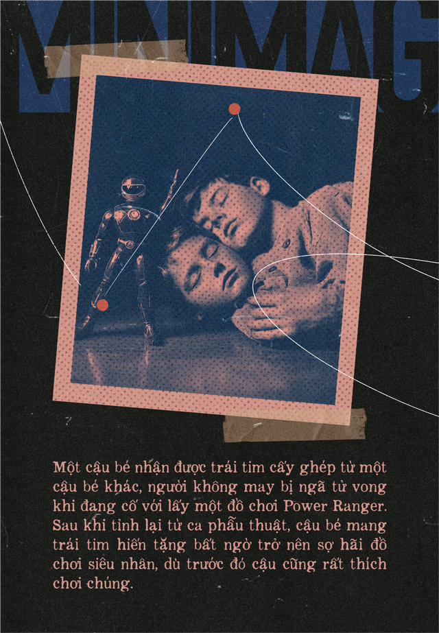 Khoa học hay tâm linh: Lời giải thích nào cho những ký ức song song của người hiến tặng và người nhận tạng ghép?- Ảnh 4. Khoa học hay tâm linh: Lời giải thích nào cho những ký ức song song của người hiến tặng và người nhận tạng ghép?- Ảnh 4.