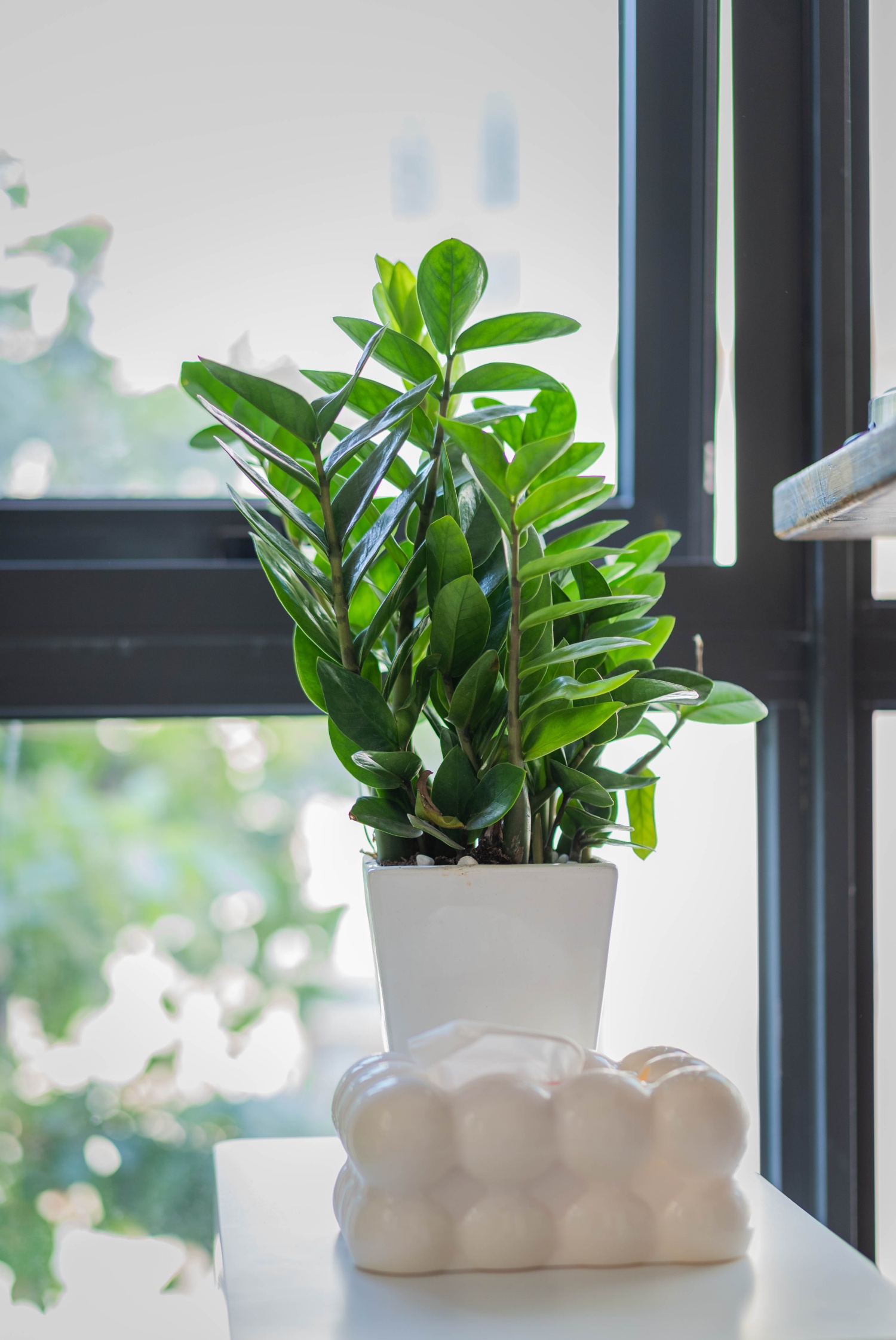 Cô gái Hà Nội đam mê decor góc làm việc tại nhà: Xinh xắn điệu đà nhưng vẫn nhiều công năng, có cả chỗ ngồi chill như quán cà phê- Ảnh 24. Cô gái Hà Nội đam mê decor góc làm việc tại nhà: Xinh xắn điệu đà nhưng vẫn nhiều công năng, có cả chỗ ngồi chill như quán cà phê- Ảnh 24.