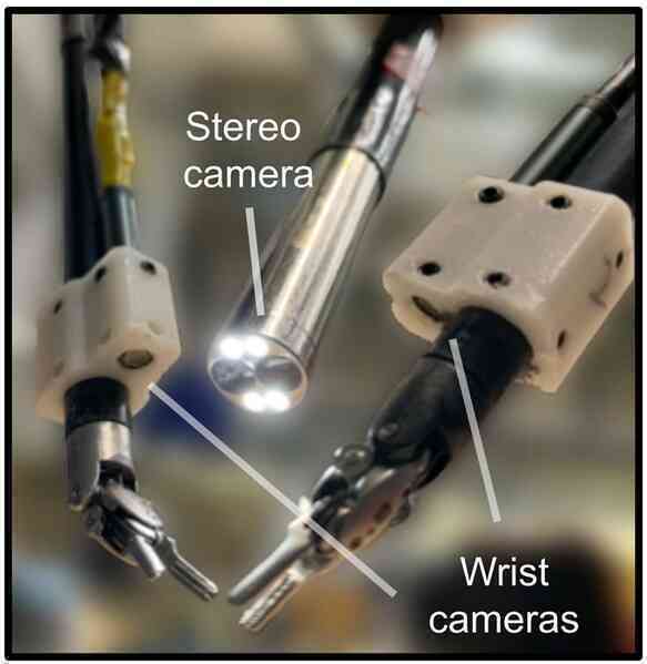 Robot bây giờ có thể học được cách phẫu thuật chỉ bằng cách xem video- Ảnh 4. Robot bây giờ có thể học được cách phẫu thuật chỉ bằng cách xem video- Ảnh 4.