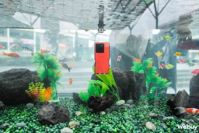 Trên tay realme GT7 Pro với thiết kế mới: Snapdragon 8 Elite cực mạnh, pin siêu khủng 6.500mAh, có một nâng cấp đáng giá sẽ thành xu hướng của năm sau- Ảnh 17. Trên tay realme GT7 Pro với thiết kế mới: Snapdragon 8 Elite cực mạnh, pin siêu khủng 6.500mAh, có một nâng cấp đáng giá sẽ thành xu hướng của năm sau- Ảnh 17.