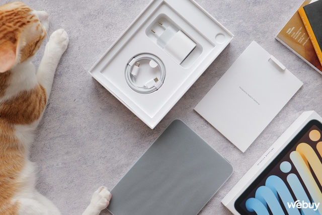 Mở hộp và trải nghiệm nhanh iPad mini 7: Chiếc iPad "thú vị" nhất mà tôi từng được sử dụng- Ảnh 3. Mở hộp và trải nghiệm nhanh iPad mini 7: Chiếc iPad "thú vị" nhất mà tôi từng được sử dụng- Ảnh 3.