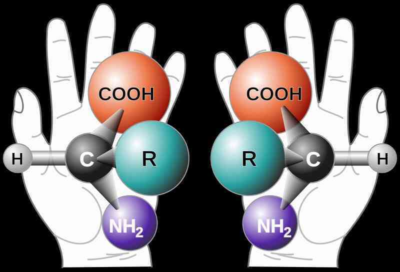 NASA đã phát hiện ra một biến dạng RNA có thể xác định lại câu chuyện nguồn gốc của sự sống