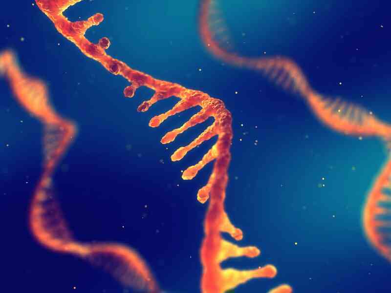 NASA đã phát hiện ra một biến dạng RNA có thể xác định lại câu chuyện nguồn gốc của sự sống- Ảnh 4. NASA đã phát hiện ra một biến dạng RNA có thể xác định lại câu chuyện nguồn gốc của sự sống- Ảnh 4.