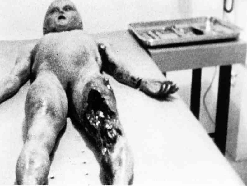 Người ngoài hành tinh dưới biển sâu: Quan điểm gây tranh cãi của chuyên gia UFO Anna Whitty- Ảnh 2. Người ngoài hành tinh dưới biển sâu: Quan điểm gây tranh cãi của chuyên gia UFO Anna Whitty- Ảnh 2.