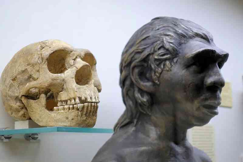 Tất cả chúng ta đều mang DNA của người Neanderthal và Denisovan và đây là cách điều đó ảnh hưởng đến chúng ta
