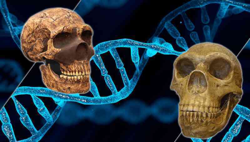 Tất cả chúng ta đều mang DNA của người Neanderthal và Denisovan và đây là cách điều đó ảnh hưởng đến chúng ta- Ảnh 3. Tất cả chúng ta đều mang DNA của người Neanderthal và Denisovan và đây là cách điều đó ảnh hưởng đến chúng ta- Ảnh 3.