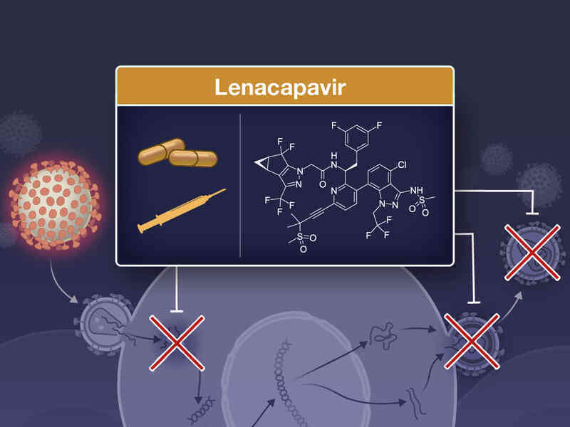 Số ca nhiễm mới HIV trên toàn cầu đã giảm tới mức thấp kỷ lục: Nhưng tại sao đó không phải là tin vui?- Ảnh 4. Số ca nhiễm mới HIV trên toàn cầu đã giảm tới mức thấp kỷ lục: Nhưng tại sao đó không phải là tin vui?- Ảnh 4.