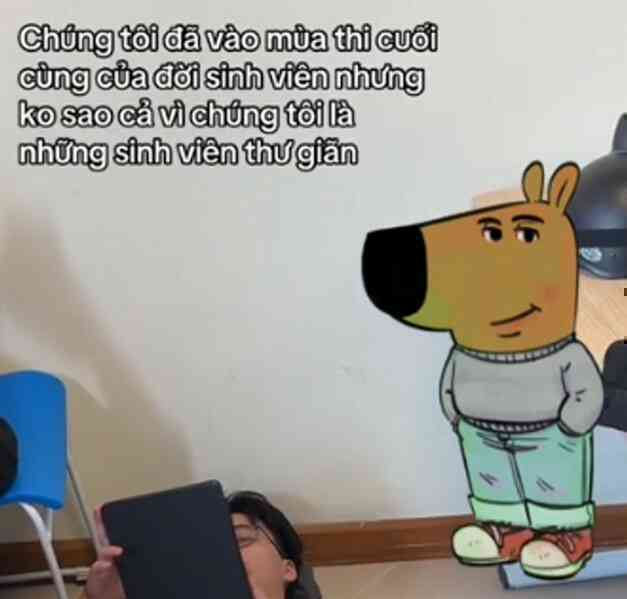 Vì sao meme 'Chill guy' gây sốt điên đảo trên mạng xã hội?- Ảnh 2. Vì sao meme 'Chill guy' gây sốt điên đảo trên mạng xã hội?- Ảnh 2.