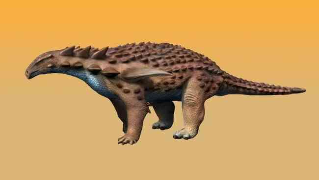 Áo giáp của khủng long Ankylosaur có thể chịu được tác động của một vụ tai nạn xe hơi tốc độ cao không?- Ảnh 3. Áo giáp của khủng long Ankylosaur có thể chịu được tác động của một vụ tai nạn xe hơi tốc độ cao không?- Ảnh 3.