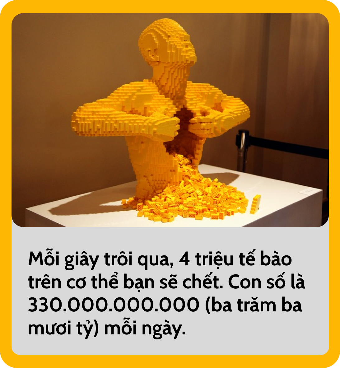 Mỗi giây, 4 triệu tế bào trên cơ thể bạn sẽ chết: Các nhà khoa học đang đi vào "nghĩa địa của các tế bào" để tìm hiểu tại sao lại vậy?