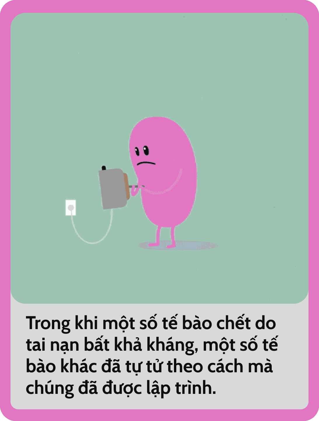 Mỗi giây trôi qua, 4 triệu tế bào trên cơ thể bạn sẽ chết: Các nhà khoa học đang đi vào Mỗi giây trôi qua, 4 triệu tế bào trên cơ thể bạn sẽ chết: Các nhà khoa học đang đi vào