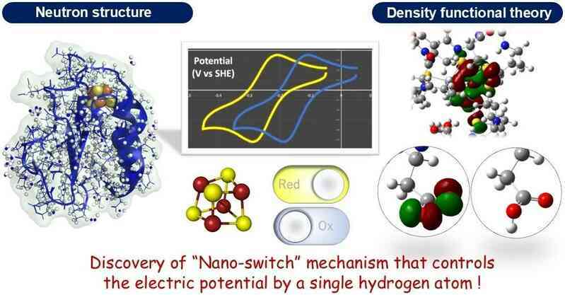 Khám phá ra công tắc nano: Bước đột phá cho cảm biến và y học- Ảnh 2. Khám phá ra công tắc nano: Bước đột phá cho cảm biến và y học- Ảnh 2.