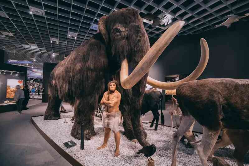 Không phải chúng ta, người Neanderthal mới thực sự là giống loài sở hữu 'siêu năng lực'