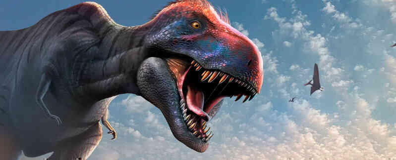 Chúng ta có thể đã sai về T. rex một lần nữa: 'Thông minh như khỉ' hay chỉ là lời đồn?