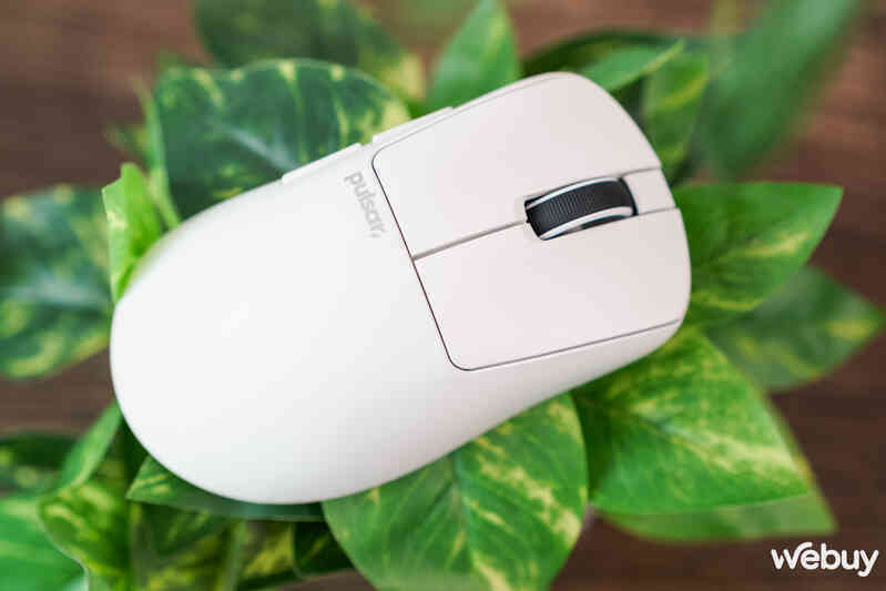 Đánh giá chuột 'siêu nhẹ' Pulsar Xlite V4: Sự nâng cấp nhẹ của 'công thức thành công'- Ảnh 23. Đánh giá chuột 'siêu nhẹ' Pulsar Xlite V4: Sự nâng cấp nhẹ của 'công thức thành công'- Ảnh 23.