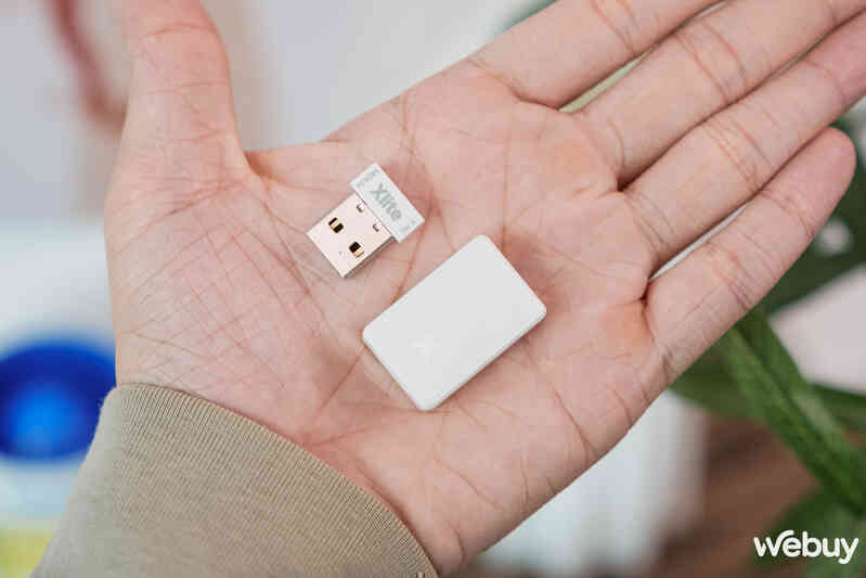 Đánh giá chuột 'siêu nhẹ' Pulsar Xlite V4: Sự nâng cấp nhẹ của 'công thức thành công'- Ảnh 6. Đánh giá chuột 'siêu nhẹ' Pulsar Xlite V4: Sự nâng cấp nhẹ của 'công thức thành công'- Ảnh 6.