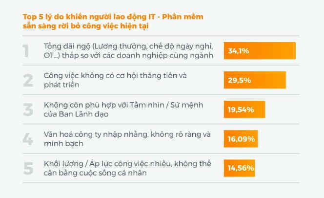 Nhan luc IT 1.jpg