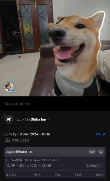 Trải nghiệm AI trên iOS 18.2: Nhiều tính năng thú vị, tích hợp cả ChatGPT dùng cực tiện- Ảnh 20. Trải nghiệm AI trên iOS 18.2: Nhiều tính năng thú vị, tích hợp cả ChatGPT dùng cực tiện- Ảnh 20.