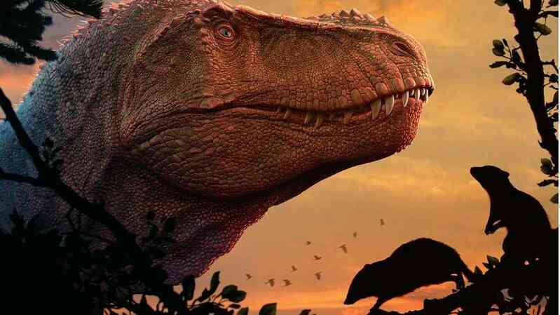 Hóa ra động vật có vú hiện đại bị 'mù màu' đều là do khủng long bạo chúa Tyrannosaurus rex?- Ảnh 2. Hóa ra động vật có vú hiện đại bị 'mù màu' đều là do khủng long bạo chúa Tyrannosaurus rex?- Ảnh 2.