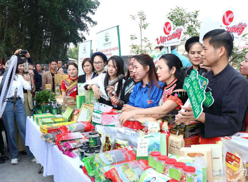 Thái Nguyên: Phát triển hạ tầng số, hưởng 