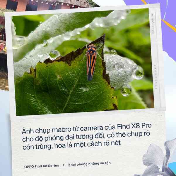 OPPO Find X8 Pro: Flagship với camera đột phá và toàn diện- Ảnh 7. OPPO Find X8 Pro: Flagship với camera đột phá và toàn diện- Ảnh 7.