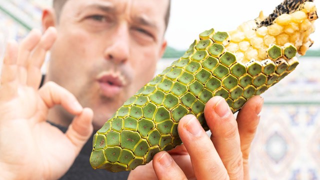 Những loại trái cây kỳ lạ nhất trên hành tinh của chúng ta!- Ảnh 5. Những loại trái cây kỳ lạ nhất trên hành tinh của chúng ta!- Ảnh 5.