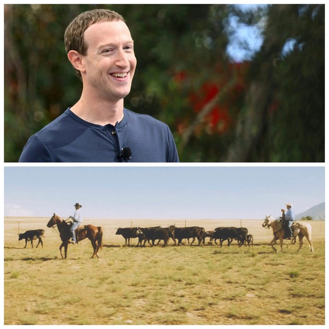 Mark Zuckerberg tiết lộ, đã có lúc con gái tưởng bố mình là người nuôi bò