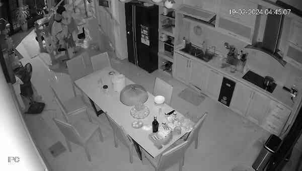 Chuột kích hoạt bếp từ suýt gây cháy nhà, chủ nhà xem camera nhận ra sai lầm “chí mạng”