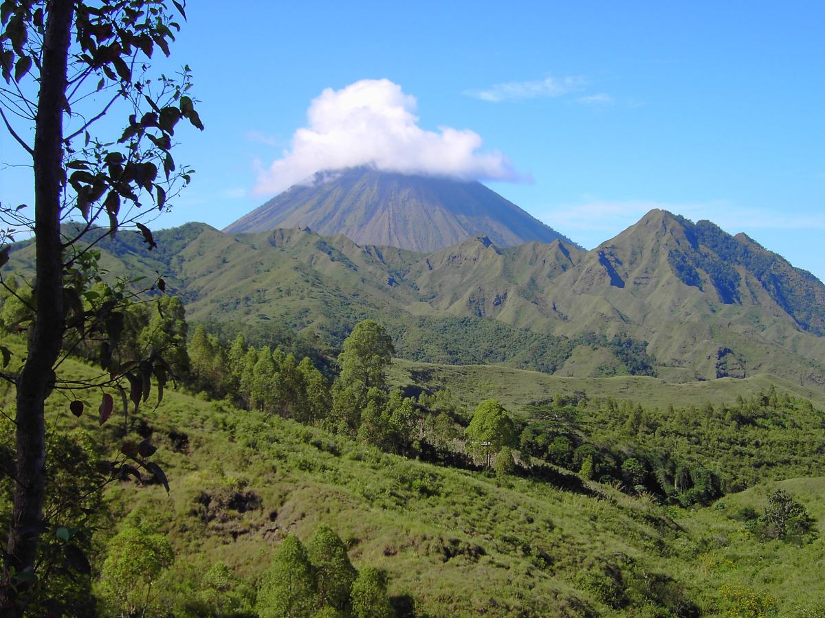 Loài người cổ đại có thể vẫn còn sống trên đảo Flores của Indonesia- Ảnh 2. Loài người cổ đại có thể vẫn còn sống trên đảo Flores của Indonesia- Ảnh 2.