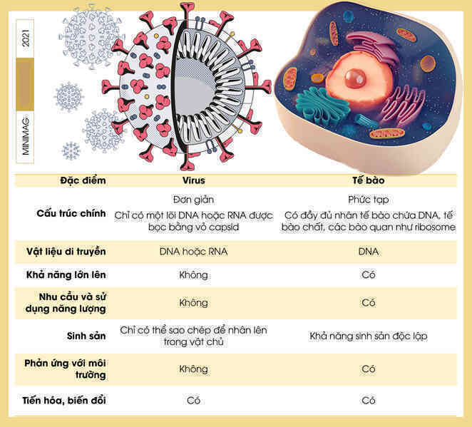 Virus không phải lúc nào cũng là kẻ phản diện, đây là 5 cách loài người 