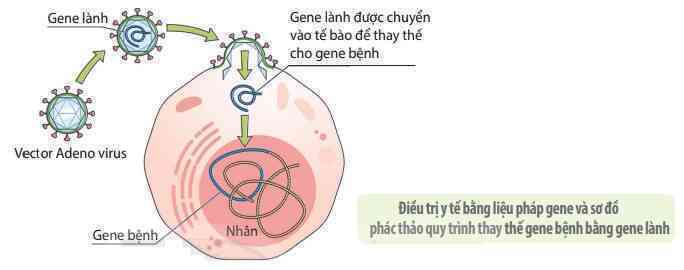 Virus không phải lúc nào cũng là kẻ phản diện, đây là 5 cách loài người 