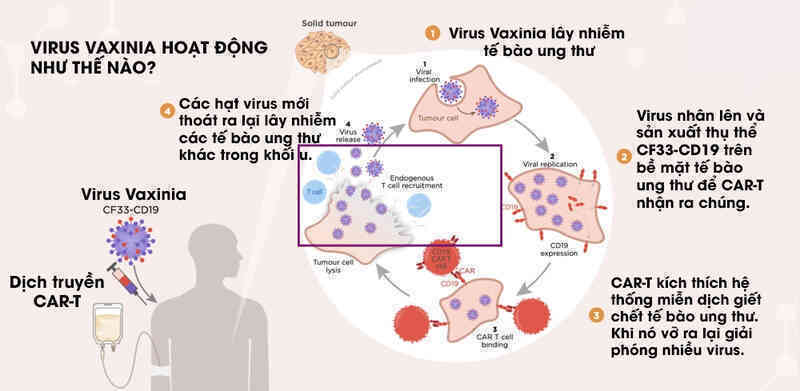 Virus không phải lúc nào cũng là kẻ phản diện, đây là 5 cách loài người 