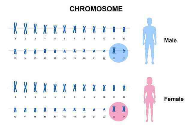 Hội chứng siêu nhân - Superman Syndrome - có thật sự biến một người bình thường thành siêu nhân?- Ảnh 2. Hội chứng siêu nhân - Superman Syndrome - có thật sự biến một người bình thường thành siêu nhân?- Ảnh 2.