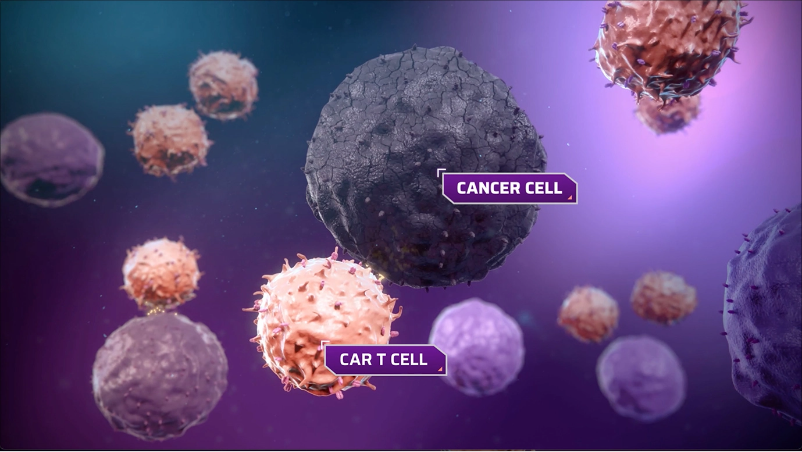 Thuốc CAR-T, hơn 10 tỷ VNĐ/liều, chữa khỏi ung thư nhưng cũng có thể khiến bệnh nhân mắc thêm bệnh ung thư mới- Ảnh 11.