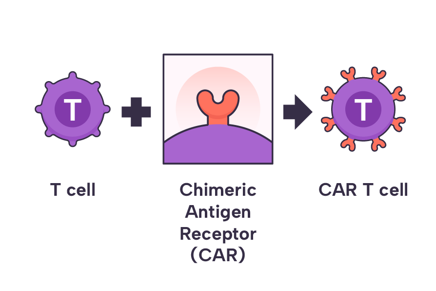 Thuốc CAR-T, hơn 10 tỷ VNĐ/liều, chữa khỏi ung thư nhưng cũng có thể khiến bệnh nhân mắc thêm bệnh ung thư mới- Ảnh 7.