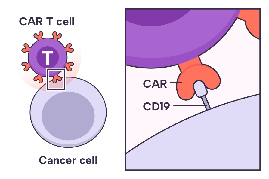 Thuốc CAR-T, hơn 10 tỷ VNĐ/liều, chữa khỏi ung thư nhưng cũng có thể khiến bệnh nhân mắc thêm bệnh ung thư mới- Ảnh 9.