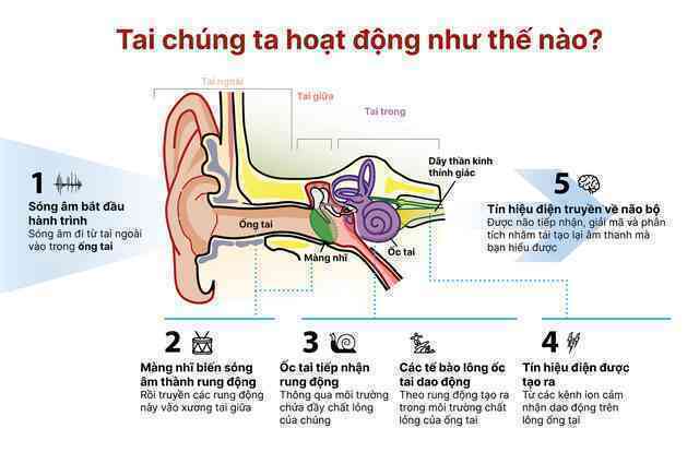 Tết hát karaoke quá 1 tiếng/ngày có thể khiến cả nhà bị tòe lông ốc tai, hiện chưa có thuốc chữa- Ảnh 7. Tết hát karaoke quá 1 tiếng/ngày có thể khiến cả nhà bị tòe lông ốc tai, hiện chưa có thuốc chữa- Ảnh 7.