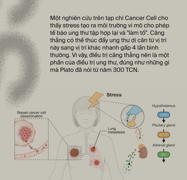Ai đã "phát minh" ra stress: Tác nhân của 80% bệnh tật trên đời, bao gồm cả ung thư?- Ảnh 2. Ai đã "phát minh" ra stress: Tác nhân của 80% bệnh tật trên đời, bao gồm cả ung thư?- Ảnh 2.