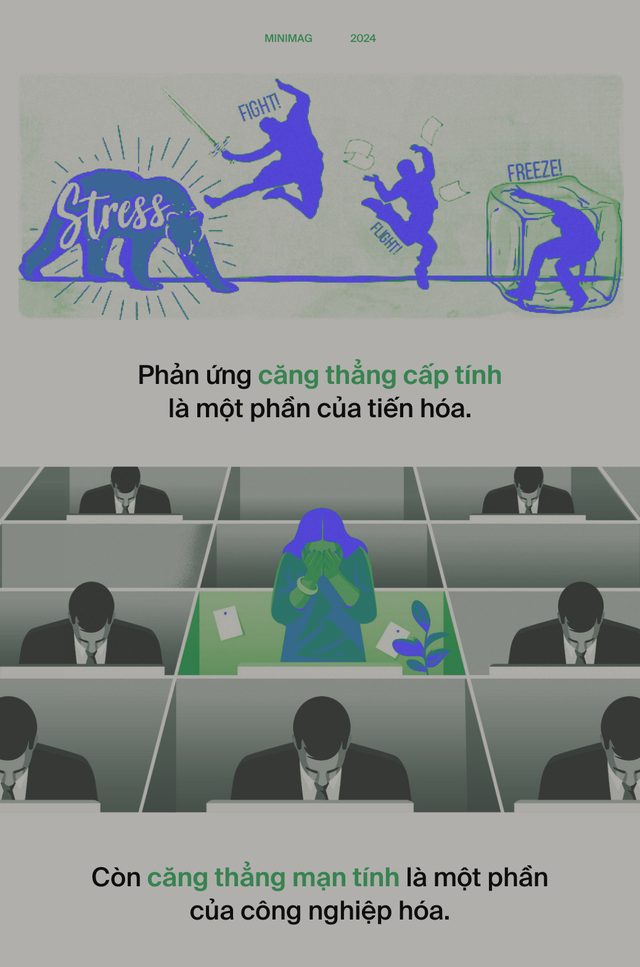 Ai đã "phát minh" ra stress: Tác nhân của 80% bệnh tật trên đời, bao gồm cả ung thư?- Ảnh 12. Ai đã "phát minh" ra stress: Tác nhân của 80% bệnh tật trên đời, bao gồm cả ung thư?- Ảnh 12.
