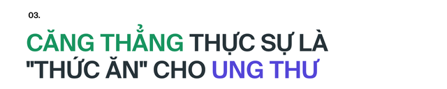 Ai đã "phát minh" ra stress: Tác nhân của 80% bệnh tật trên đời, bao gồm cả ung thư?- Ảnh 17. Ai đã "phát minh" ra stress: Tác nhân của 80% bệnh tật trên đời, bao gồm cả ung thư?- Ảnh 17.