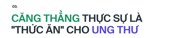 Ai đã "phát minh" ra stress: Tác nhân của 80% bệnh tật trên đời, bao gồm cả ung thư?- Ảnh 17.