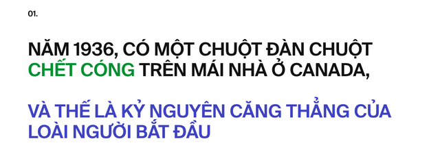 Ai đã "phát minh" ra stress: Tác nhân của 80% bệnh tật trên đời, bao gồm cả ung thư?- Ảnh 3. Ai đã "phát minh" ra stress: Tác nhân của 80% bệnh tật trên đời, bao gồm cả ung thư?- Ảnh 3.
